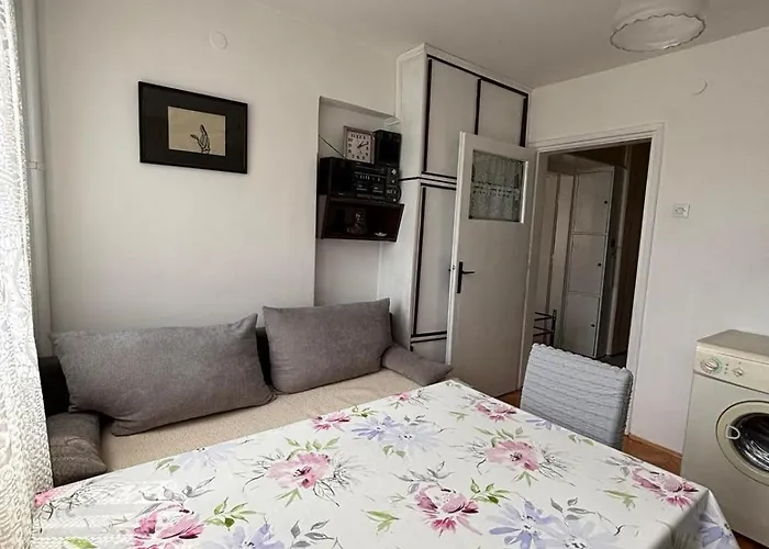 Vilsonovo, Pofalici With Free Parking